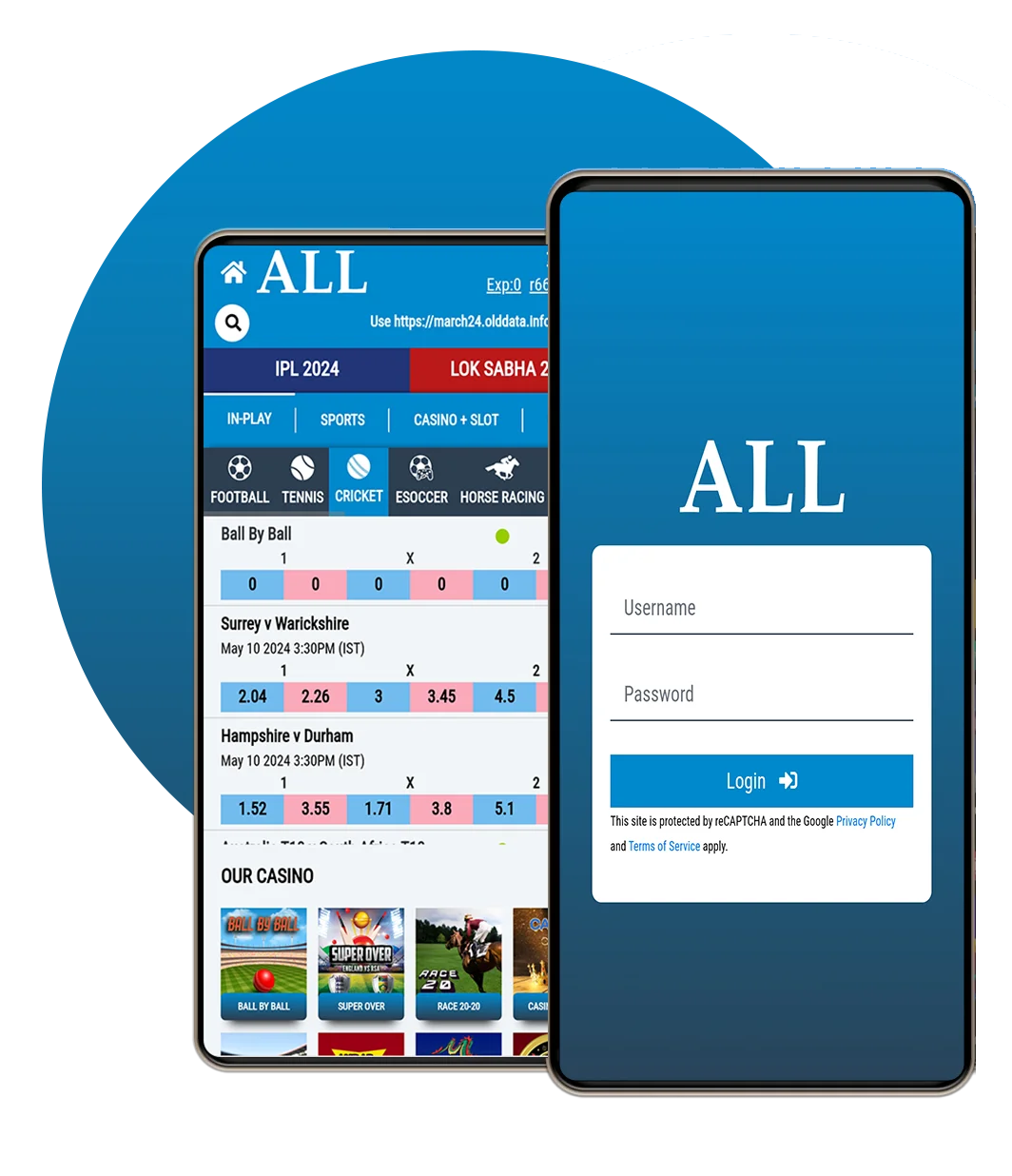 Allpanelexch Mobile App Experience